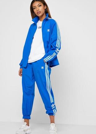 Нейлонові спортивні штани adidas2 фото