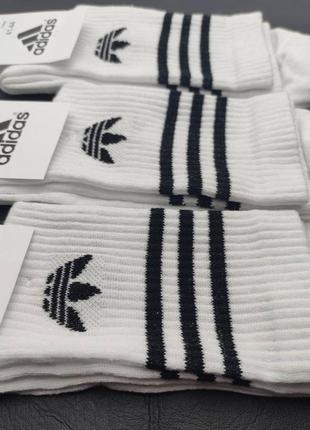 Шкарпетки adidas білого кольору