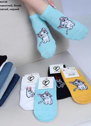 Шкарпетки жіночі
