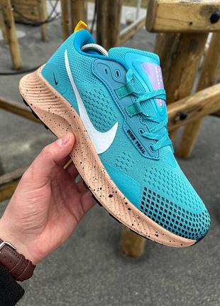 Чоловічі кросівки  nike pegasus trail