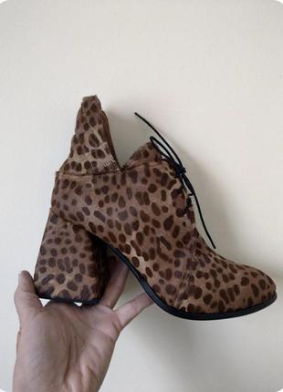 Шкіряні жіночі леопардові ботильйони черевики на підборах з натуральної шкіри поні