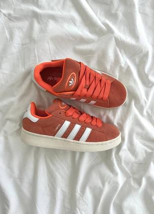 Кросівки adidas campus жіночі