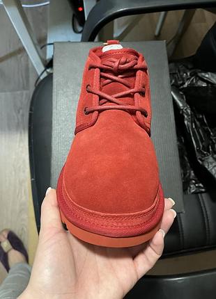 Черевики на шнуровці ugg 2