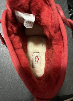 Черевики на шнуровці ugg 9