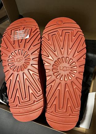 Черевики на шнуровці ugg 10