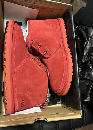 Черевики на шнуровці ugg 3