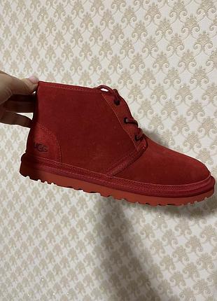 Черевики на шнуровці ugg 6