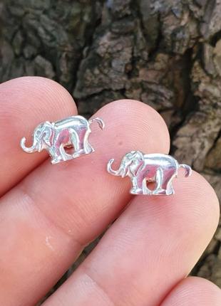 Пусеты слоники