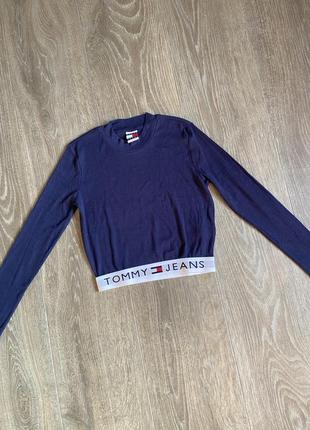 Футболка з довги рукавом tommy jeans tjw 90s top 84 фото