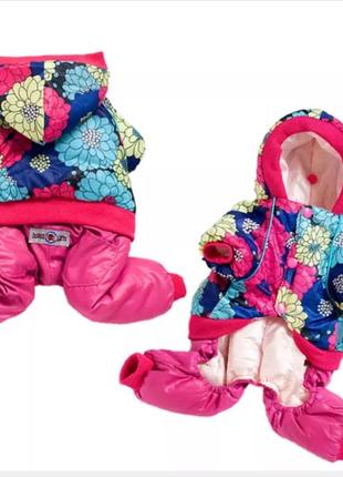 Одежда для собак и котов