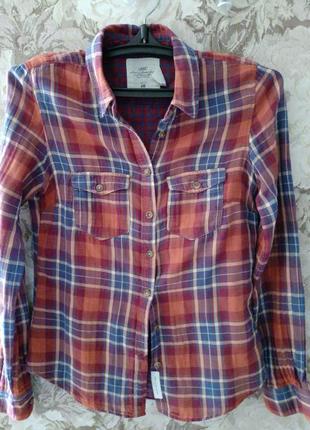 Стильна сорочка