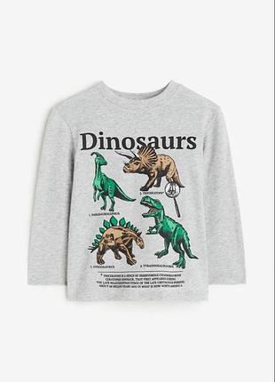 Pеглан для мальчика h&amp;m