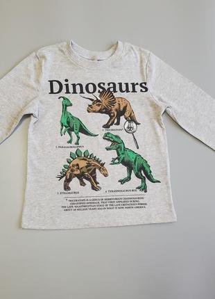 Pеглан для хлопчика h&m 7