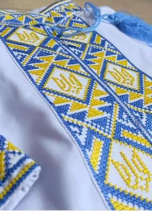 Вишиванка "тризуб" на блискавці з китицями