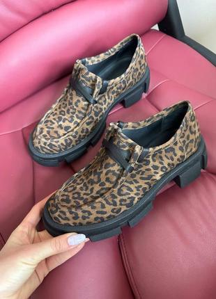 Леопардові дербі черевики туфлі натуральний велюр замша1 фото