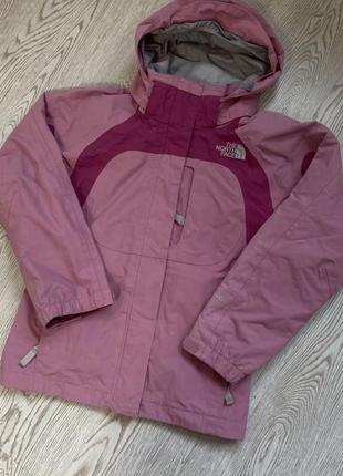 Курточка "tnf"