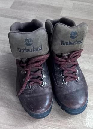 Чоловічі черевики timberland