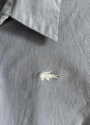 Жіноча сорочка lacoste 🐊5 фото