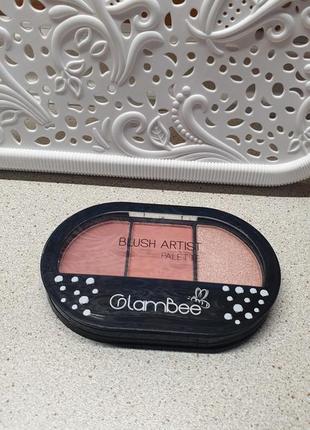 Glambee blush artist palette