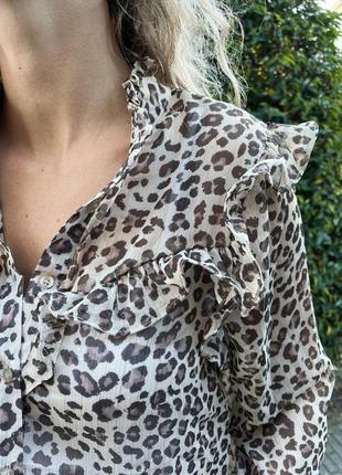 Шифонова блуза рубашка з рюшами нитка люрекс леопард3 фото