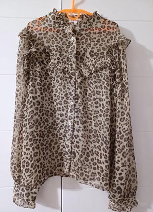 Шифонова блуза рубашка з рюшами нитка люрекс леопард4 фото
