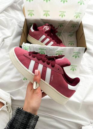 Adidas campus bordo