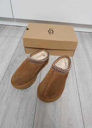 Жіночі уггі ugg tasman chestnut2 фото