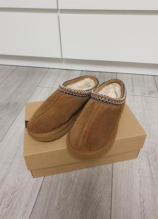 Жіночі уггі ugg tasman chestnut1 фото