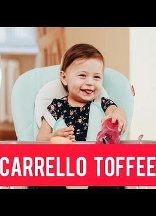 Детский стульчик для кормления carrello toffee (каррелло тоффи) crl-9502 space grey (тёмно-серый цвет)4 фото
