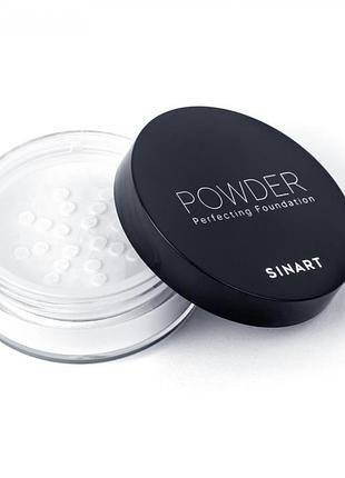 Пудра для обличчя powder perfection foundation sinart