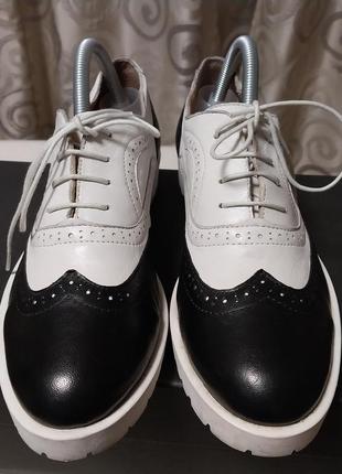 Люксові стильні брендові шкіряні туфлі globus2 фото