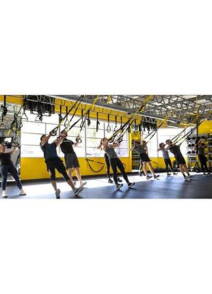 Fitness suspension sale