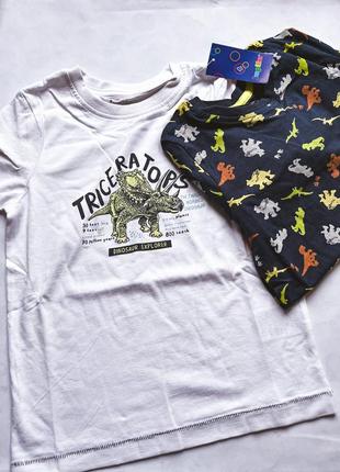 Комплект футболка і реглан для хлопчика 110-116 см lupilu