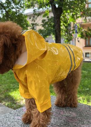 Вініловий жовтий дощовик для собак1 фото