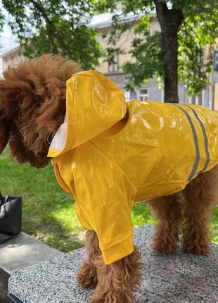 Вініловий жовтий дощовик для собак3 фото