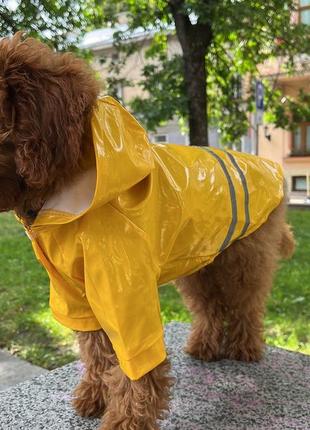 Вініловий жовтий дощовик для собак2 фото