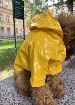Вініловий жовтий дощовик для собак4 фото