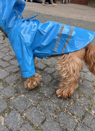 Вініловий синій дощовик для собаки5 фото