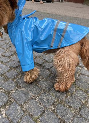 Вініловий синій дощовик для собаки6 фото