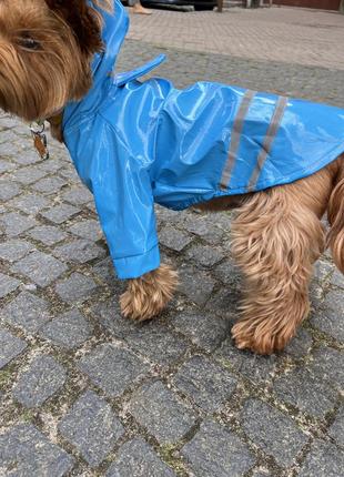 Вініловий синій дощовик для собаки7 фото