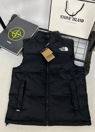 Жилет tnf