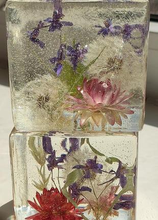 Акція!!! акція!!! акція!!!інтер'єрний куб, натуральні квіти, кульбабки, декор,подарунок,квіти