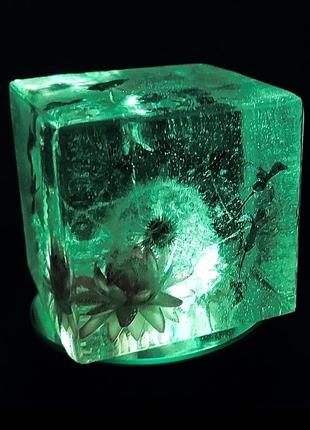 Акція!!! акція!!! акція!!!інтер'єрний куб, натуральні квіти, кульбабки, декор,подарунок,квіти