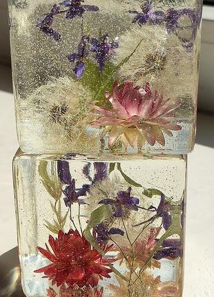 Акція!!! акція!!! акція!!!інтер'єрний куб, натуральні квіти, кульбабки, декор,подарунок,квіти