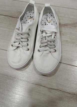 Кеды h&m
