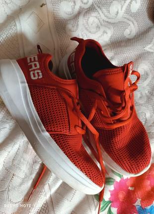 Skechers goru кросівки скечерс