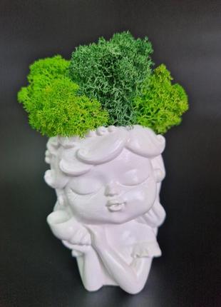Оригинальный подарок кашпо из моха салатовый мох стабилизированные растения декор для дома сувенир5 фото