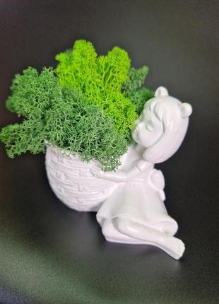 Фігурне кашпо зі стабілізованим мохом кімнатні рослини особливий подарунок мамі декор для дому