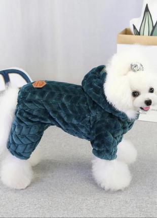 Велюровий костюмчик на маленького улюбленця, костюм з капюшоном на маленьку собачку