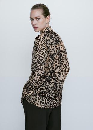 Сорочка блуза massimo dutti в леопардовий принт3 фото